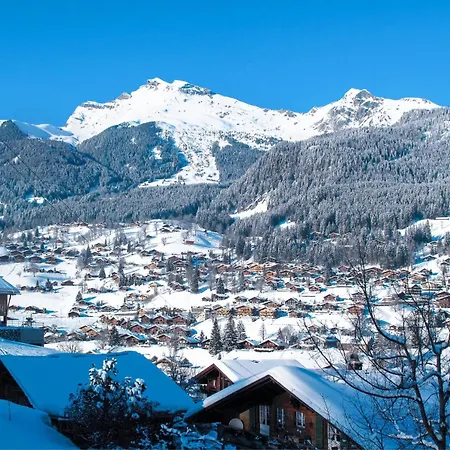 Hohturnen 2-5-zimmer By Interhome Appartement Grindelwald